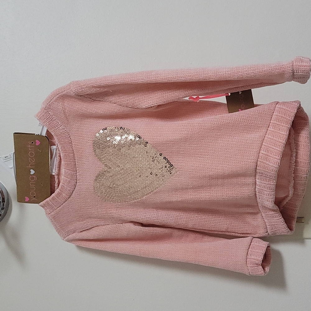 🛍Brand new, heart sweater 4T